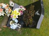 image of grave number 709059